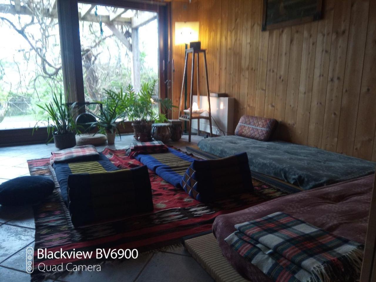 Bioagriturismo Vegan Campo Di Cielo Cesiomaggiore エクステリア 写真