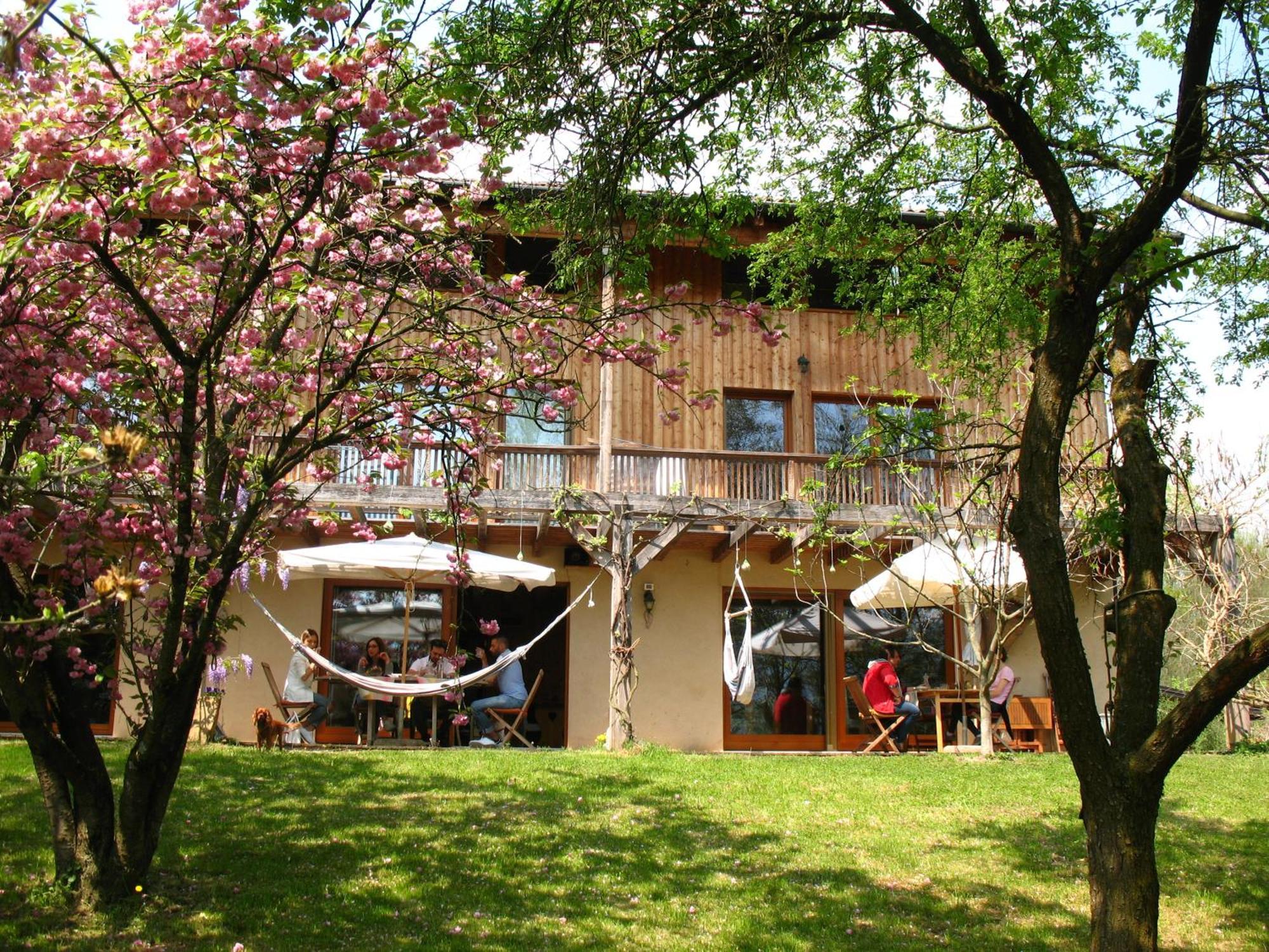 Bioagriturismo Vegan Campo Di Cielo Cesiomaggiore エクステリア 写真