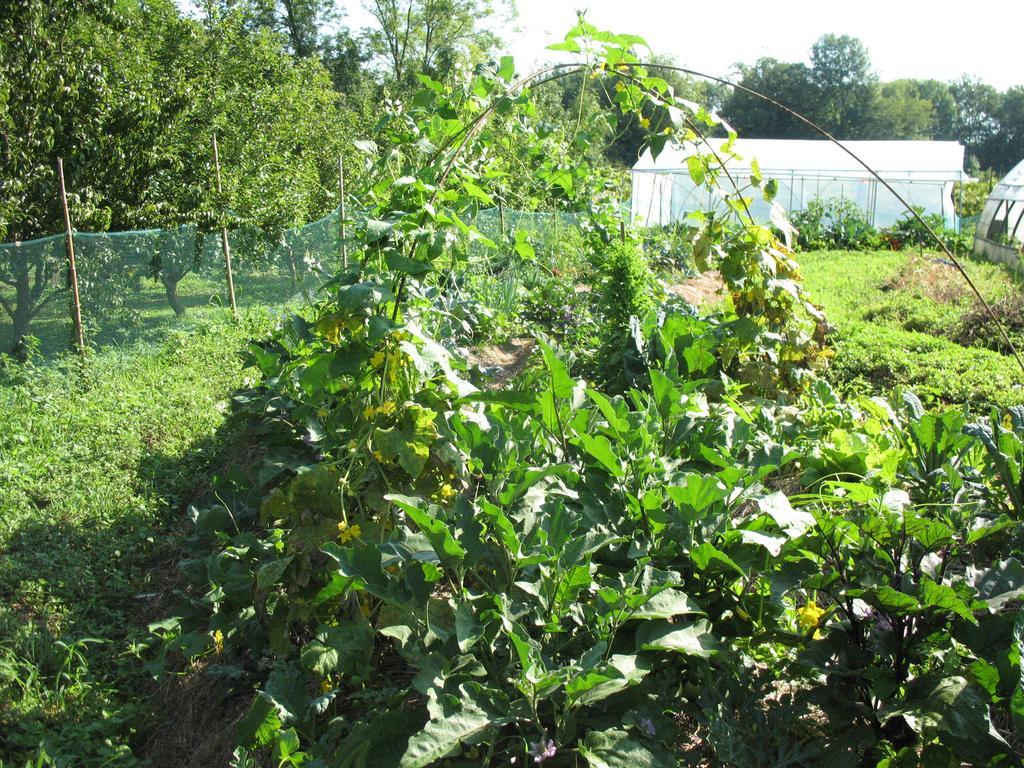 Bioagriturismo Vegan Campo Di Cielo Cesiomaggiore エクステリア 写真