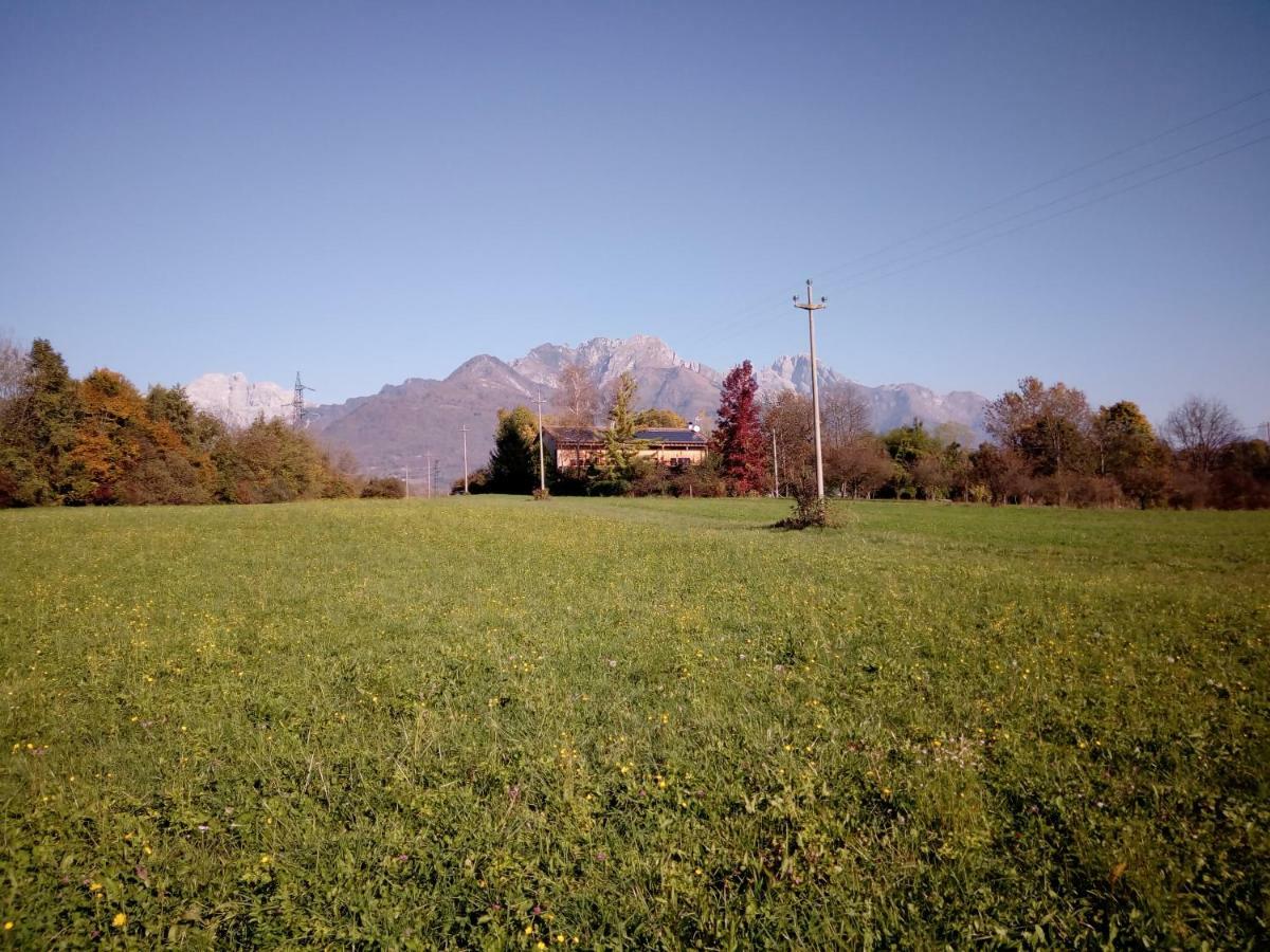 Bioagriturismo Vegan Campo Di Cielo Cesiomaggiore エクステリア 写真