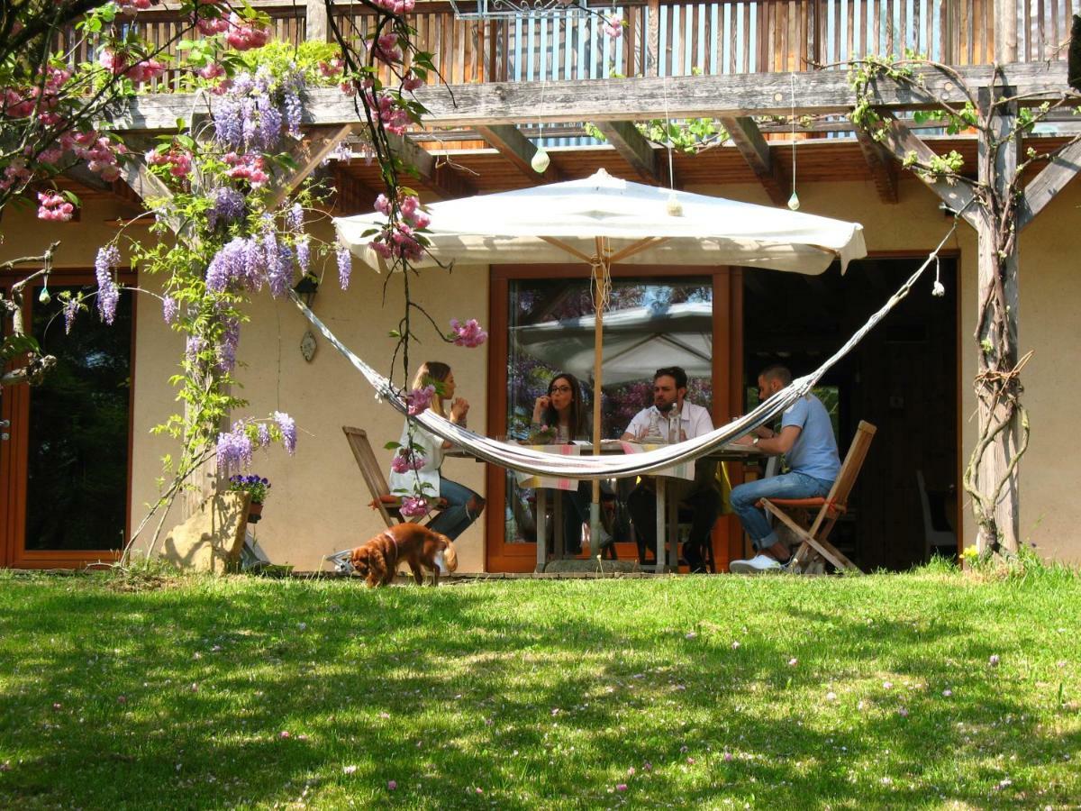 Bioagriturismo Vegan Campo Di Cielo Cesiomaggiore エクステリア 写真