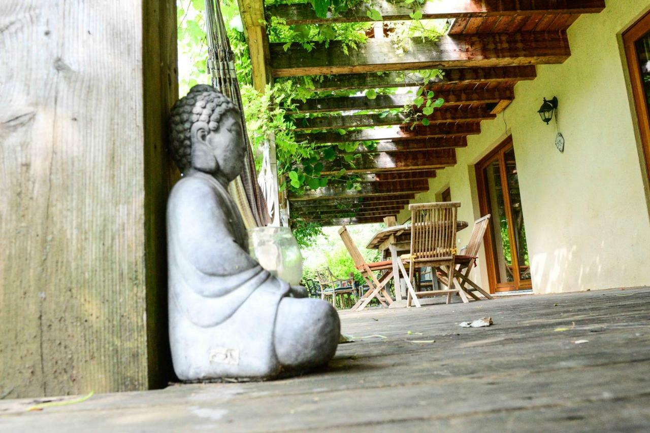 Bioagriturismo Vegan Campo Di Cielo Cesiomaggiore エクステリア 写真